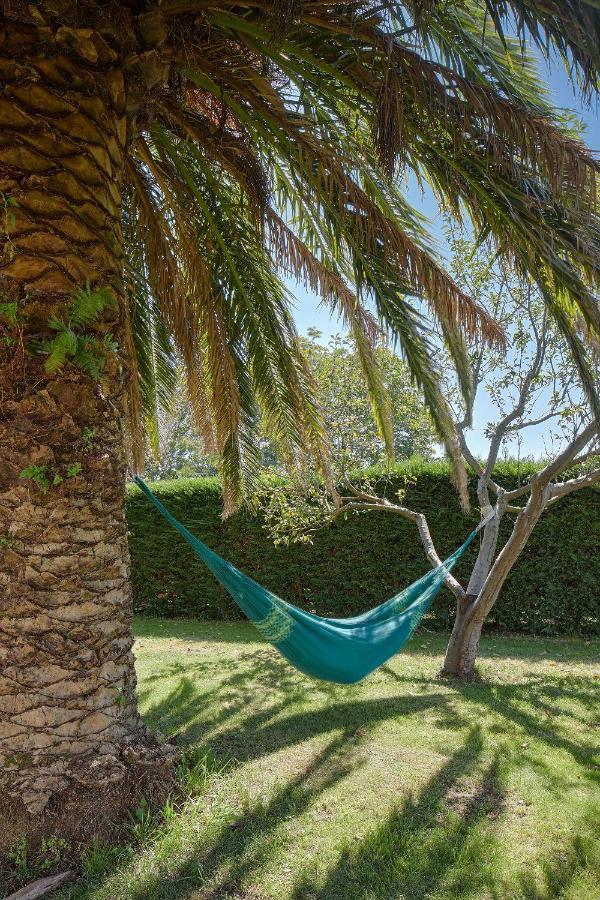 Casa Rural La Palmera - Landetxea Lasarte Oria Extérieur photo